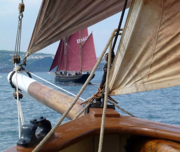 Devon Coast Day Sail